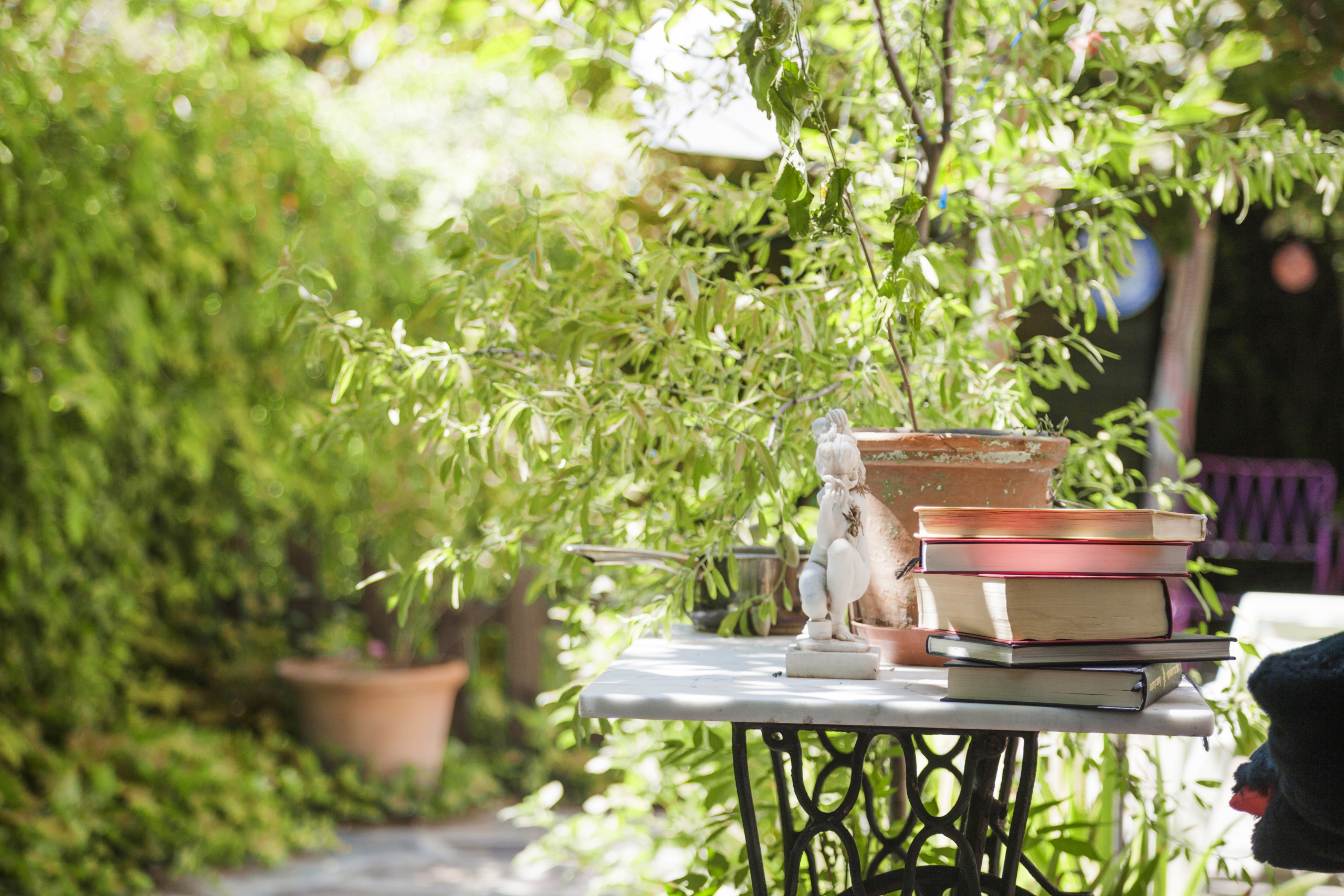 ristrutturazione di giardino e terrazzo