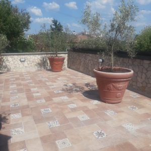 terrazzo con piante